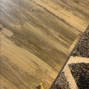 Meet your Posher, Shruthi